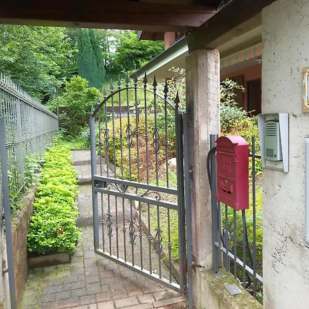 - The Green Bed & Breakfast